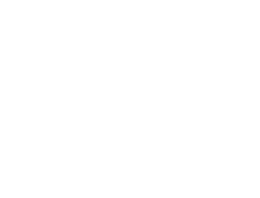 k Bird Logotype